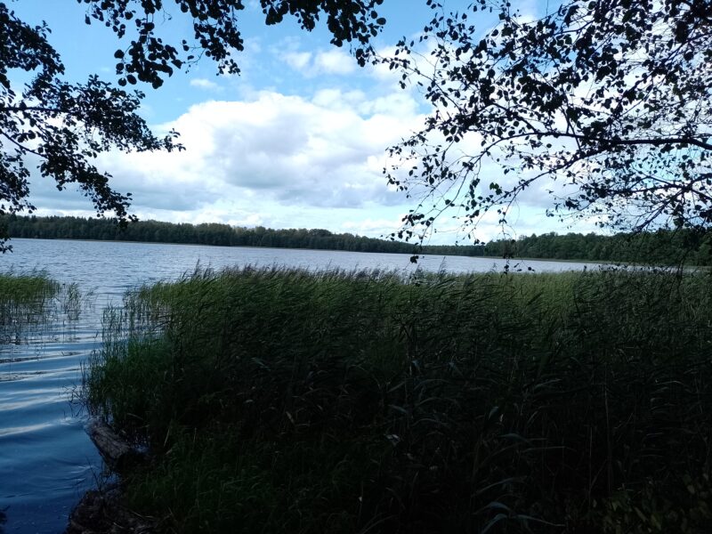 Автодорога (лыжероллеры) Н Горбово — Лызлово, состояние на 28 августа 2025 по отзыву, фото 1. 